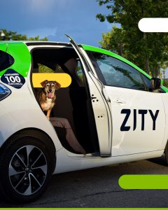 Viajar con perro en Zity