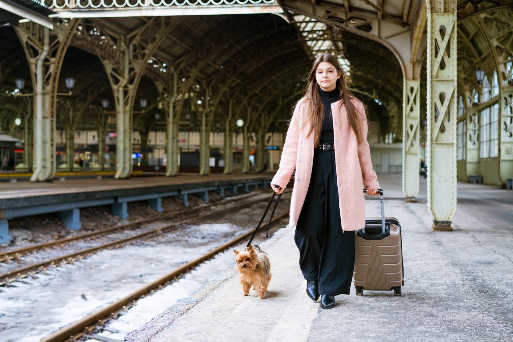 viajar con perro en la Unión Europea