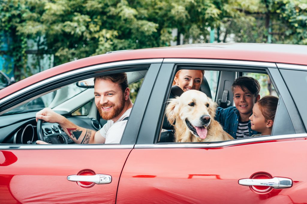 Ahorrar en el seguro de coche