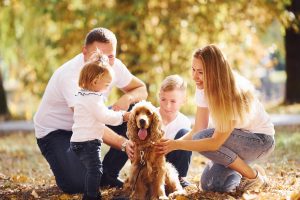 beneficios de tener mascota