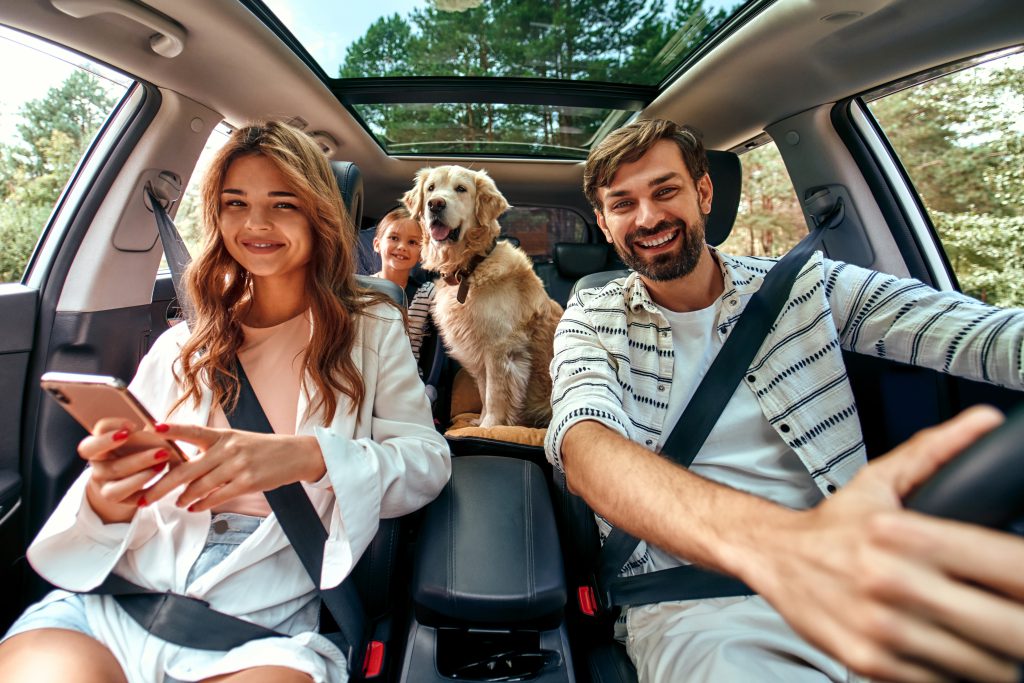 perro en carsharing