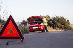 seguro de asistencia